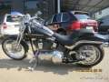 HARLEY DAVIDSON SOFTAIL SPRINGER CVO FXSTSSE3 SCREAMIN EAGLE