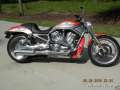 HARLEY-DAVIDSON VROD SCREAMING EAGLE