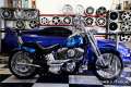 HARLEY-DAVIDSON SOFTAIL FLSTS SPRINGER
