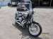 HARLEY DAVIDSON SOFTAIL SPRINGER CVO FXSTSSE3 (���������)