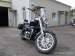 TRIUMPH AMERICA (���������)
