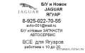  /    JAGUAR  .